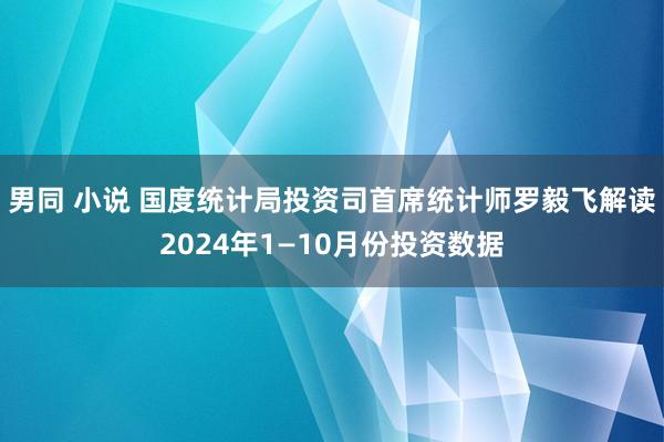 男同 小说 国度统计局投资司首席统计师罗毅飞解读2024年1—10月份投资数据