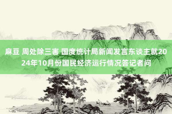 麻豆 周处除三害 国度统计局新闻发言东谈主就2024年10月份国民经济运行情况答记者问