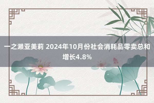 一之濑亚美莉 2024年10月份社会消耗品零卖总和增长4.8%