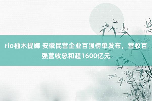 rio柚木提娜 安徽民营企业百强榜单发布，营收百强营收总和超1600亿元