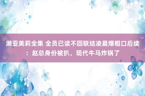 濑亚美莉全集 全员已读不回联结凌晨爆粗口后续：赵总身份被扒，现代牛马炸锅了