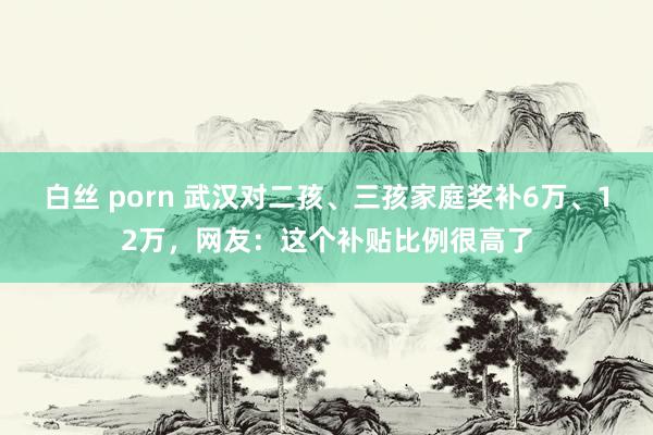 白丝 porn 武汉对二孩、三孩家庭奖补6万、12万，网友：这个补贴比例很高了