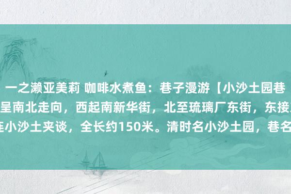 一之濑亚美莉 咖啡水煮鱼：巷子漫游【小沙土园巷子】————小沙土园巷子呈南北走向，西起南新华街，北至琉璃厂东街，东接东南园巷子，南连小沙土夹谈，全长约150米。清时名小沙土园，巷名来历与河渠干系。据记录有&#39;明...