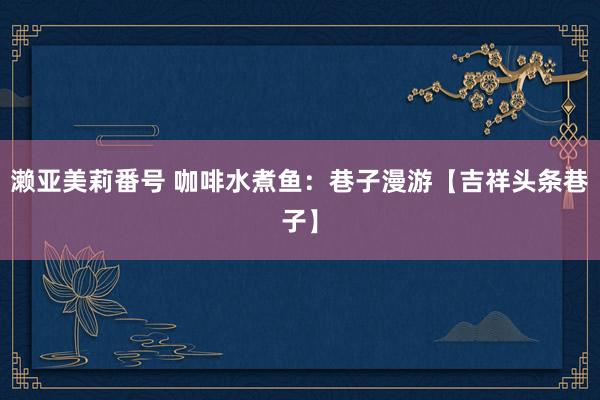 濑亚美莉番号 咖啡水煮鱼：巷子漫游【吉祥头条巷子】