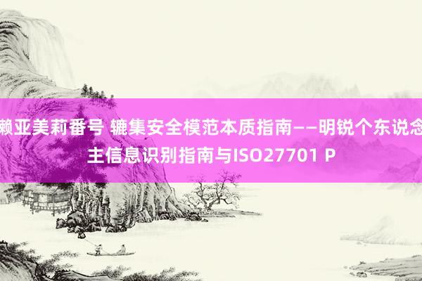 濑亚美莉番号 辘集安全模范本质指南——明锐个东说念主信息识别指南与ISO27701 P