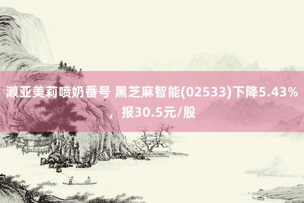 濑亚美莉喷奶番号 黑芝麻智能(02533)下降5.43%，报30.5元/股