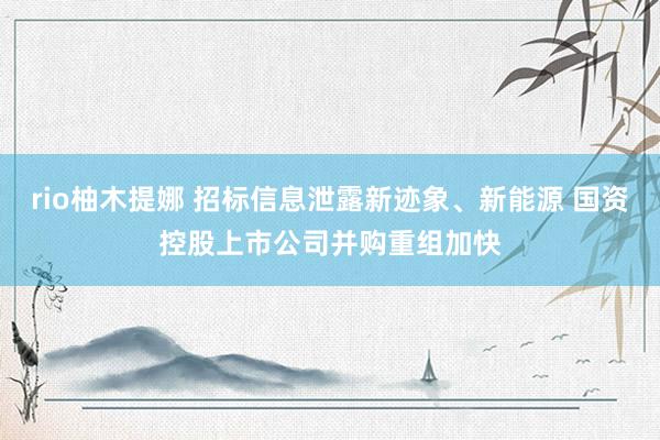 rio柚木提娜 招标信息泄露新迹象、新能源 国资控股上市公司并购重组加快