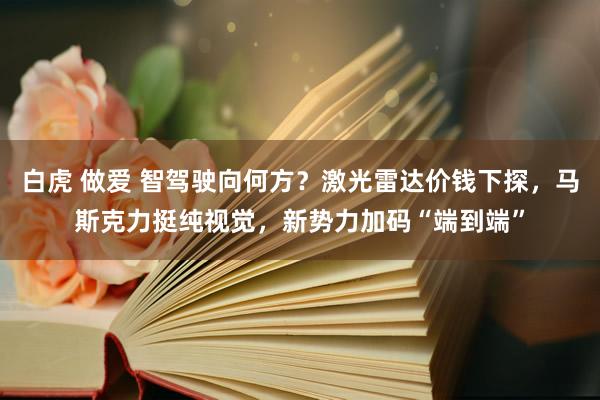 白虎 做爱 智驾驶向何方？激光雷达价钱下探，马斯克力挺纯视觉，新势力加码“端到端”