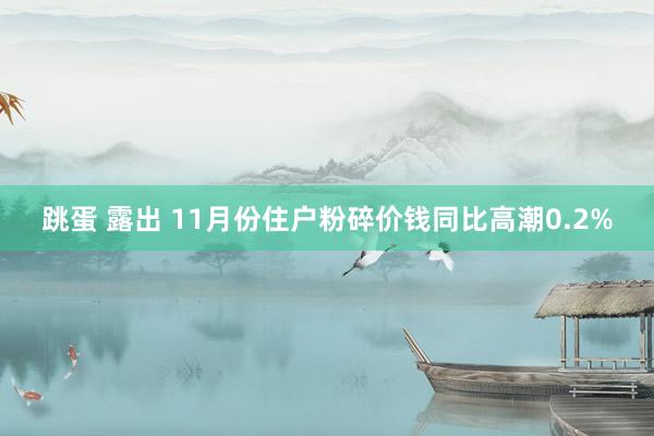 跳蛋 露出 11月份住户粉碎价钱同比高潮0.2%