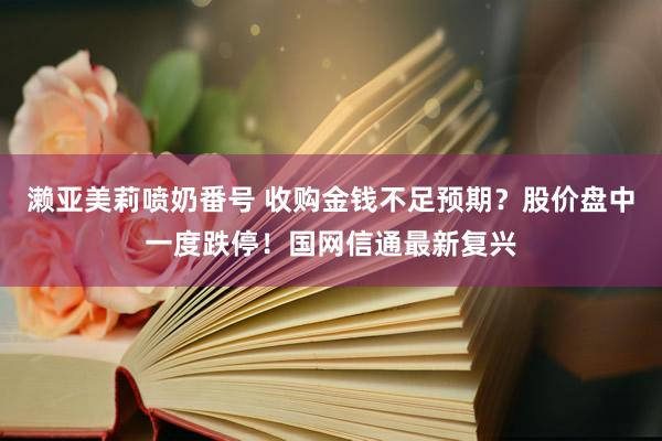 濑亚美莉喷奶番号 收购金钱不足预期？股价盘中一度跌停！国网信通最新复兴