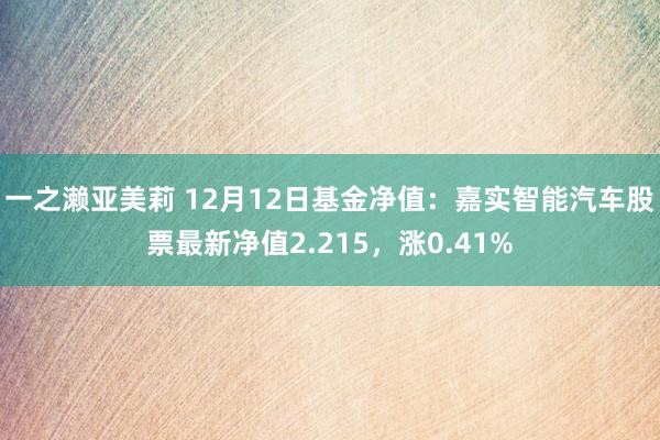 一之濑亚美莉 12月12日基金净值：嘉实智能汽车股票最新净值2.215，涨0.41%