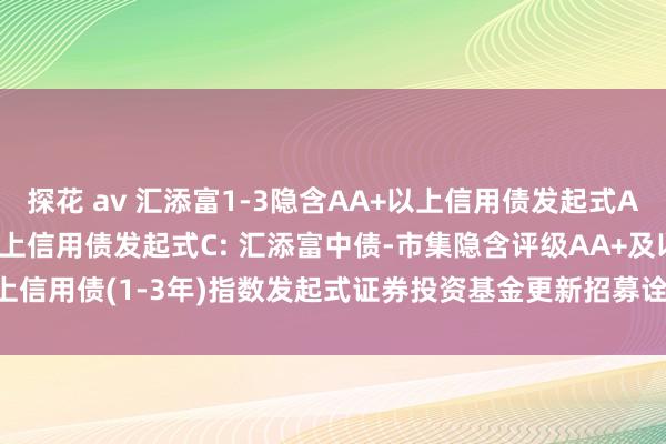 探花 av 汇添富1-3隐含AA+以上信用债发起式A，汇添富1-3隐含AA+以上信用债发起式C: 汇添富中债-市集隐含评级AA+及以上信用债(1-3年)指数发起式证券投资基金更新招募诠释书(2024年12月19日更新)