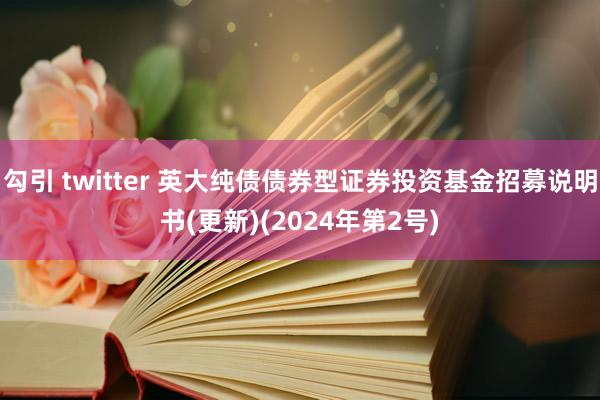 勾引 twitter 英大纯债债券型证券投资基金招募说明书(更新)(2024年第2号)