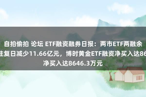 自拍偷拍 论坛 ETF融资融券日报：两市ETF两融余额较前一往复日减少11.66亿元，博时黄金ETF融资净买入达8646.3万元