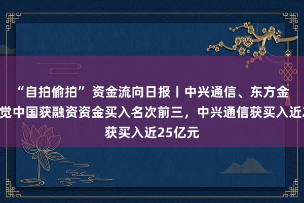 “自拍偷拍” 资金流向日报丨中兴通信、东方金钱、视觉中国获融资资金买入名次前三，中兴通信获买入近25亿元