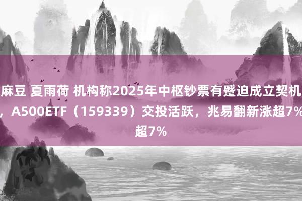 麻豆 夏雨荷 机构称2025年中枢钞票有蹙迫成立契机，A500ETF（159339）交投活跃，兆易翻新涨超7%