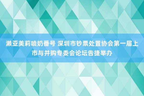 濑亚美莉喷奶番号 深圳市钞票处置协会第一届上市与并购专委会论坛告捷举办