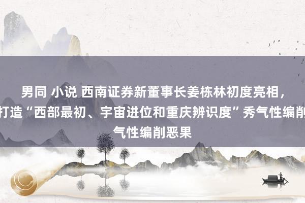 男同 小说 西南证券新董事长姜栋林初度亮相，策动打造“西部最初、宇宙进位和重庆辨识度”秀气性编削恶果