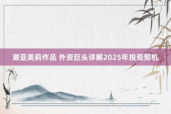 濑亚美莉作品 外资巨头详解2025年投资契机