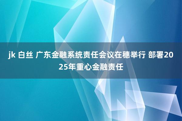 jk 白丝 广东金融系统责任会议在穗举行 部署2025年重心金融责任