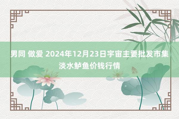 男同 做爱 2024年12月23日宇宙主要批发市集淡水鲈鱼价钱行情