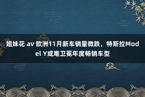 姐妹花 av 欧洲11月新车销量微跌，特斯拉Model Y或难卫冕年度畅销车型