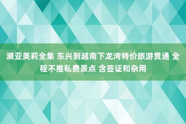 濑亚美莉全集 东兴到越南下龙湾特价旅游贯通 全程不推私费景点 含签证和杂用