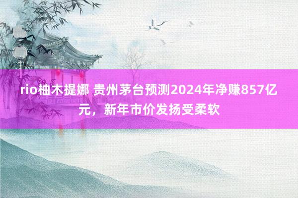 rio柚木提娜 贵州茅台预测2024年净赚857亿元，新年市价发扬受柔软