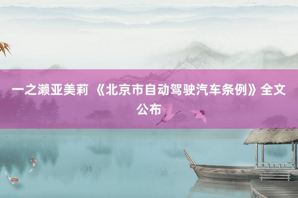 一之濑亚美莉 《北京市自动驾驶汽车条例》全文公布