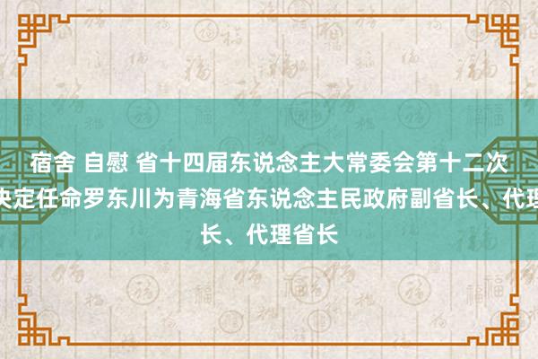 宿舍 自慰 省十四届东说念主大常委会第十二次会议决定任命罗东川为青海省东说念主民政府副省长、代理省长