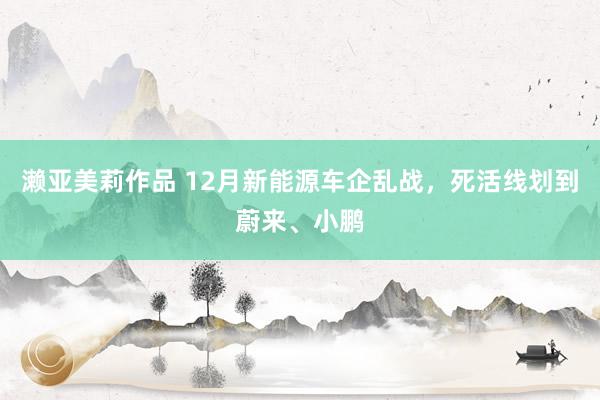 濑亚美莉作品 12月新能源车企乱战，死活线划到蔚来、小鹏