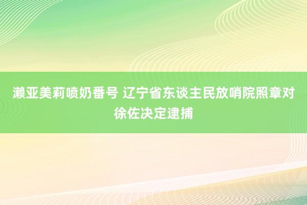 濑亚美莉喷奶番号 辽宁省东谈主民放哨院照章对徐佐决定逮捕