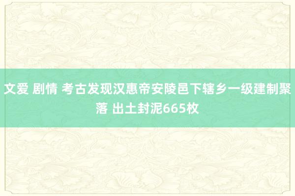 文爱 剧情 考古发现汉惠帝安陵邑下辖乡一级建制聚落 出土封泥665枚