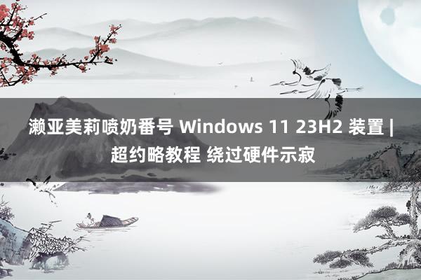 濑亚美莉喷奶番号 Windows 11 23H2 装置 | 超约略教程 绕过硬件示寂