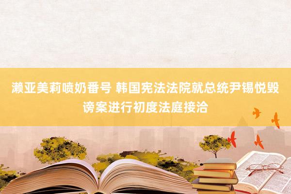 濑亚美莉喷奶番号 韩国宪法法院就总统尹锡悦毁谤案进行初度法庭接洽