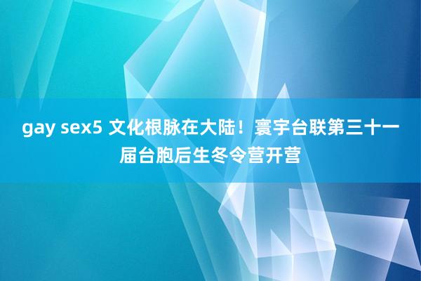 gay sex5 文化根脉在大陆！寰宇台联第三十一届台胞后生冬令营开营